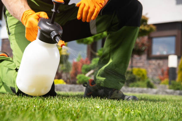 Best Affordable Pest Control Services  in The Hideout, PA