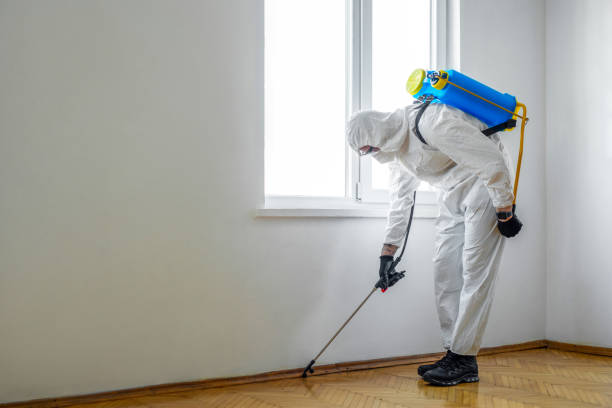 Best Emergency Pest Control  in The Hideout, PA
