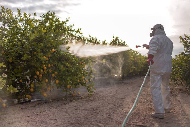 Best Pest Removal Services  in The Hideout, PA