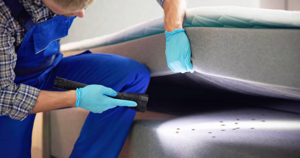 Best Termite Control Services  in The Hideout, PA