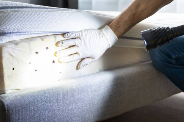 Best Pest Inspection Near Me  in The Hideout, PA