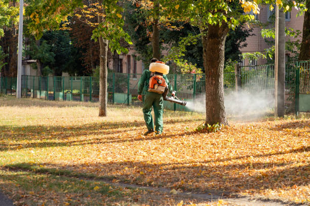 Best Exterminator Services  in The Hideout, PA