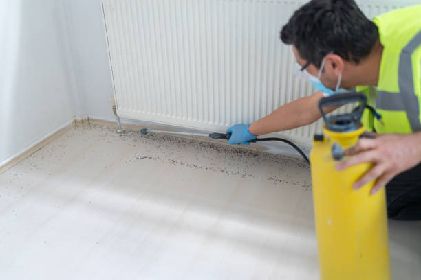 Trusted The Hideout, PA Pest Control Experts